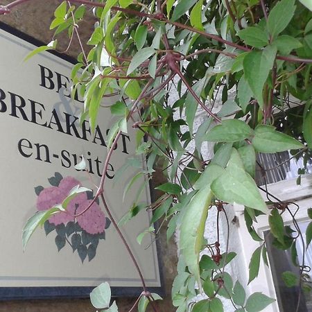 Thorpe Green House Vegetarian Bed & Breakfast Robin Hood's Bay Zewnętrze zdjęcie