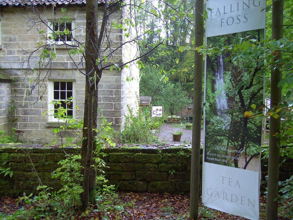 Thorpe Green House Vegetarian Bed & Breakfast Robin Hood's Bay Zewnętrze zdjęcie