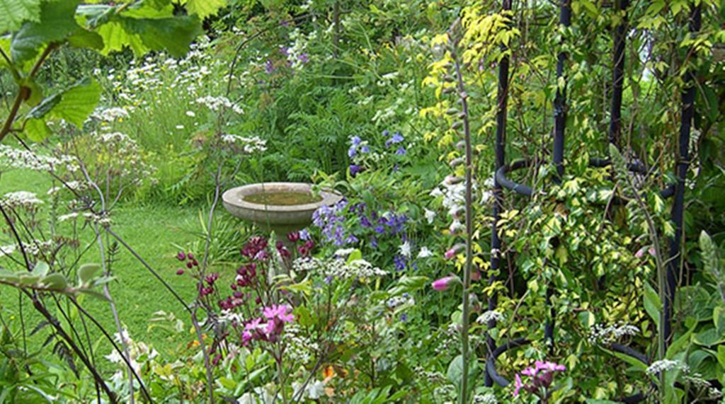 Thorpe Green House Vegetarian Bed & Breakfast Robin Hood's Bay Zewnętrze zdjęcie