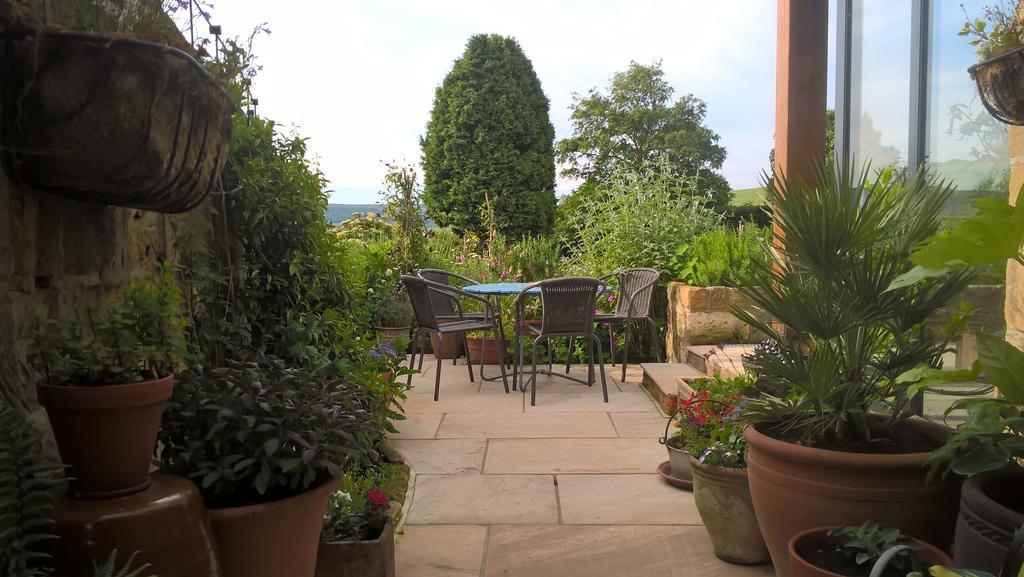 Thorpe Green House Vegetarian Bed & Breakfast Robin Hood's Bay Zewnętrze zdjęcie