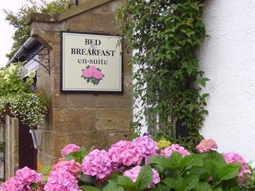 Thorpe Green House Vegetarian Bed & Breakfast Robin Hood's Bay Zewnętrze zdjęcie