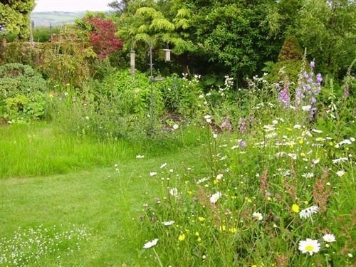 Thorpe Green House Vegetarian Bed & Breakfast Robin Hood's Bay Zewnętrze zdjęcie
