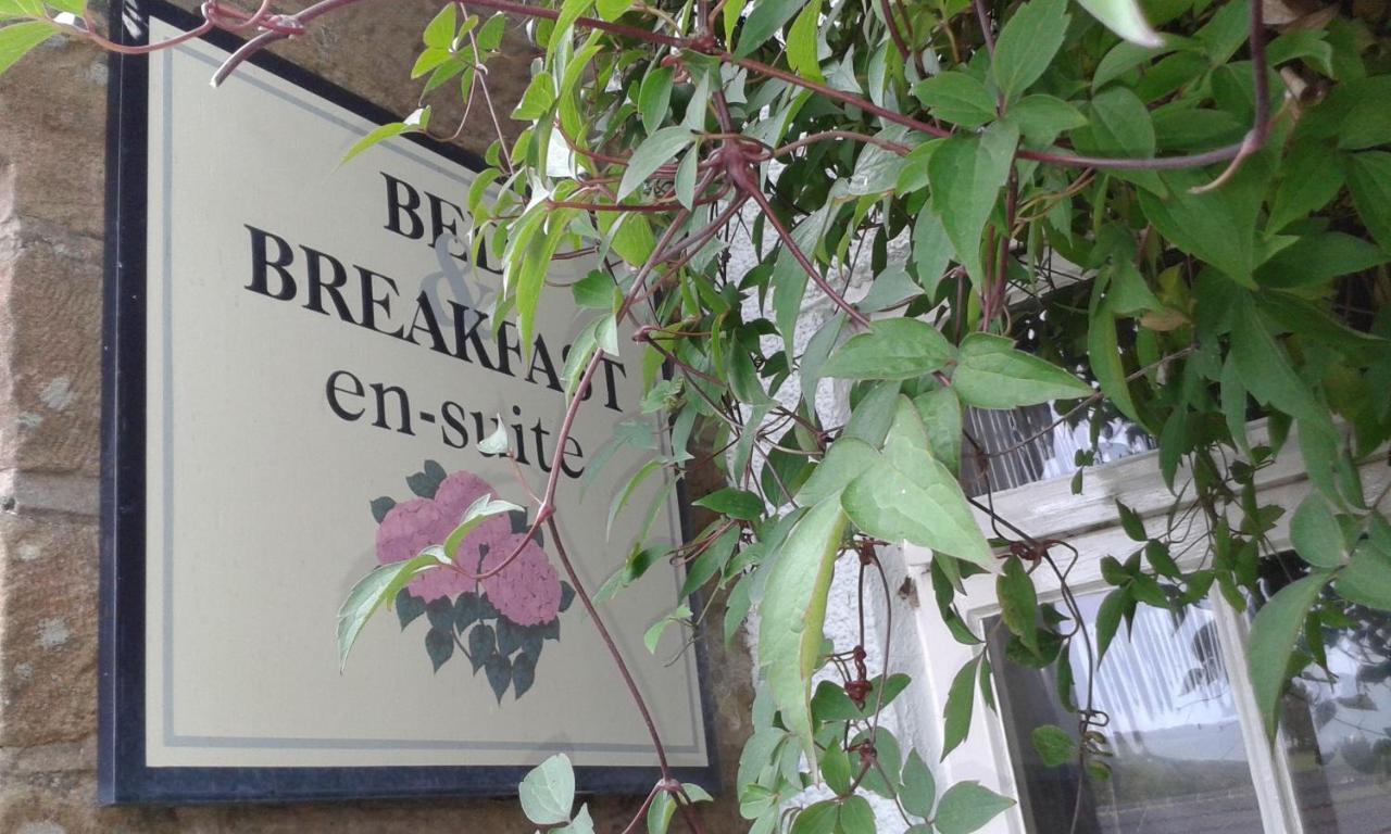 Thorpe Green House Vegetarian Bed & Breakfast Robin Hood's Bay Zewnętrze zdjęcie